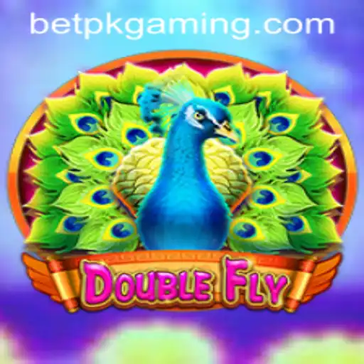 Discovering DoubleFly: A New Adventure in Gaming and Betting